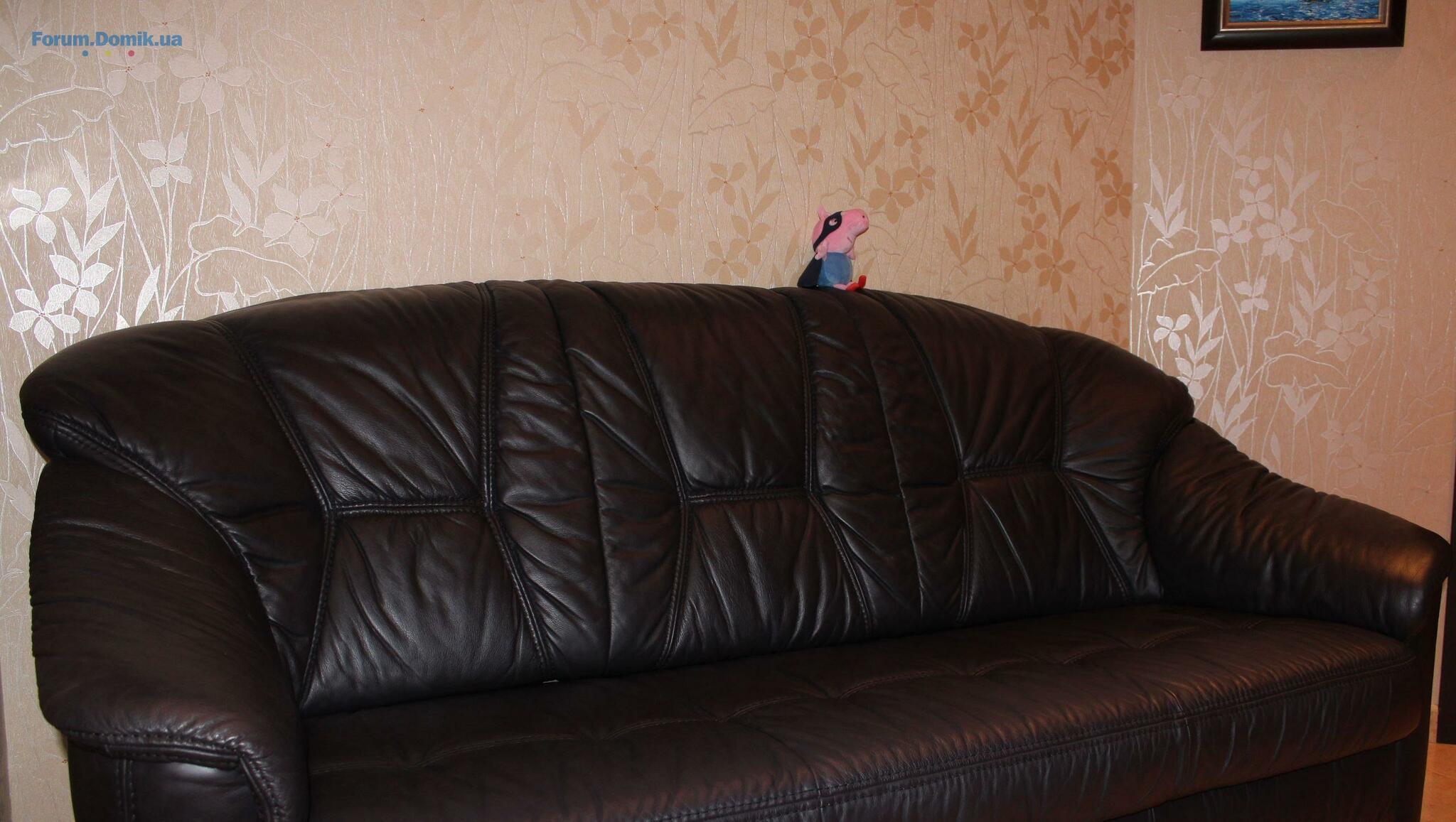 Как правильно ухаживать за диваном из кожи — Форум Domik.ua